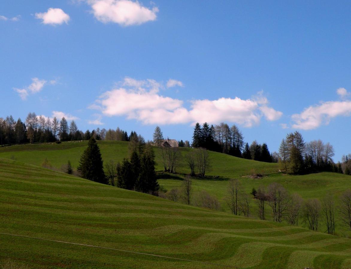 Urlaub Im Zirbenland Villa Obdach Exteriör bild