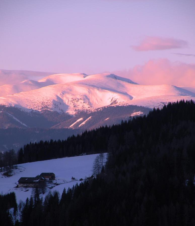 Urlaub Im Zirbenland Villa Obdach Exteriör bild