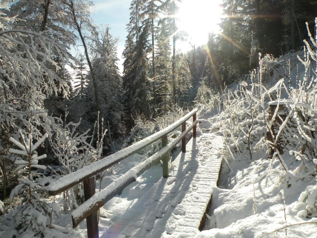 Urlaub Im Zirbenland Villa Obdach Exteriör bild