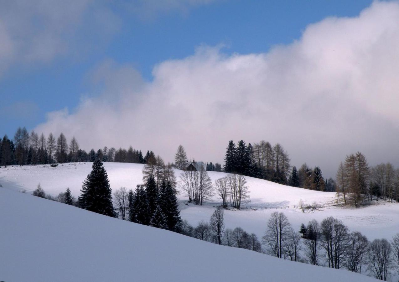 Urlaub Im Zirbenland Villa Obdach Exteriör bild