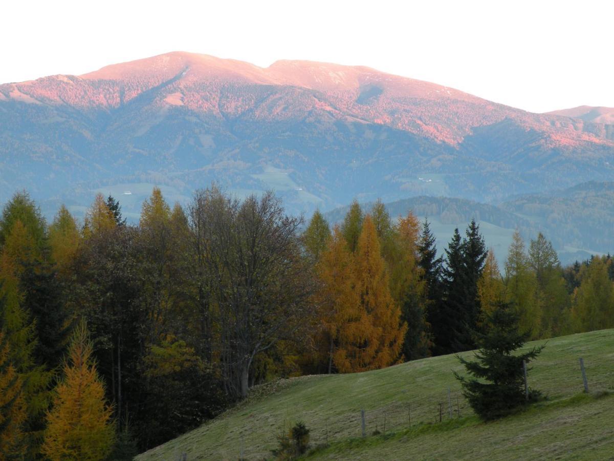 Urlaub Im Zirbenland Villa Obdach Exteriör bild