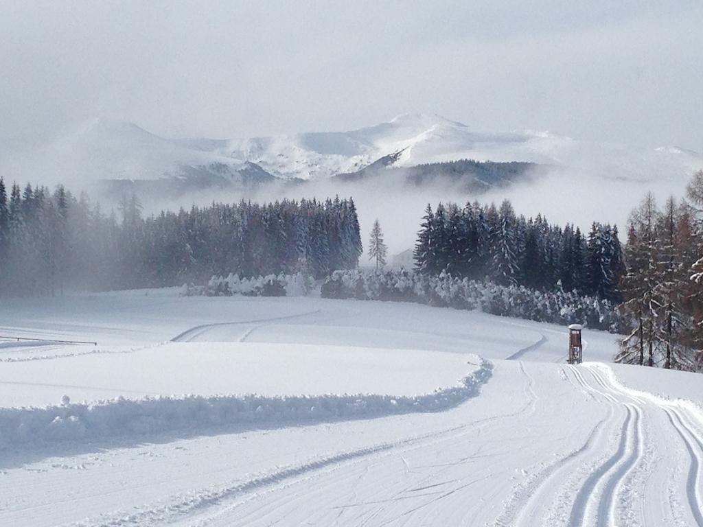 Urlaub Im Zirbenland Villa Obdach Exteriör bild